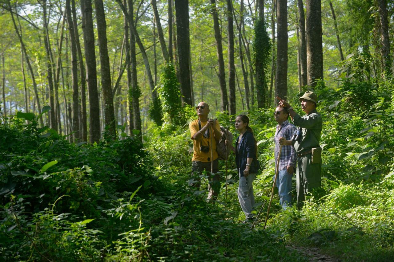 Barahi Jungle Lodge Meghauli Ngoại thất bức ảnh